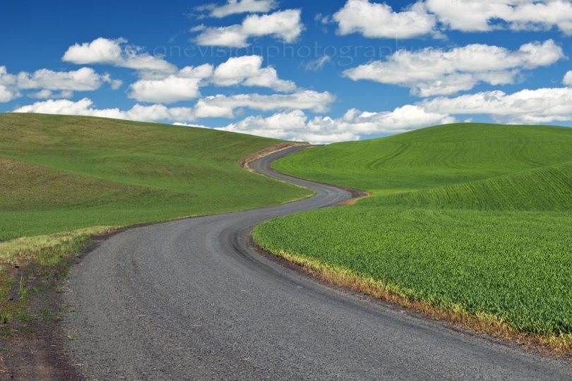 the-long-and-winding-road.jpg